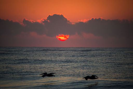 A beautiful view of birds flying over the sea with small waves during sunset