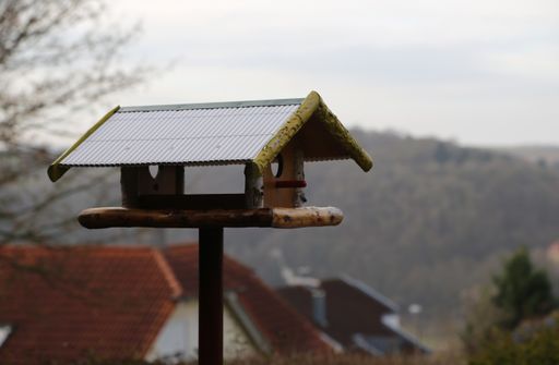 A closeup of a birdhouse on the post