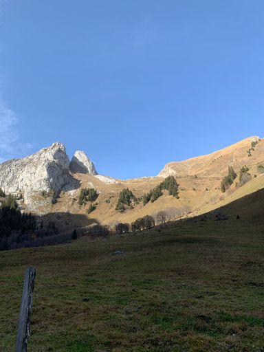 A vertical shot of a field and a mountain in the back with a blue sky in Switzerland