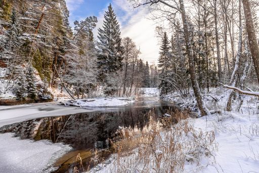 A beautiful view of a forest covered with snow and a water spot in the middle