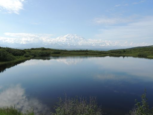 An aerial view of small lake surrounded by dense trees in Alaska