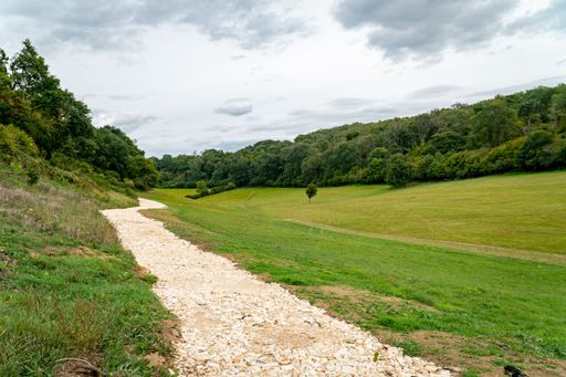 A narrow road through a field
