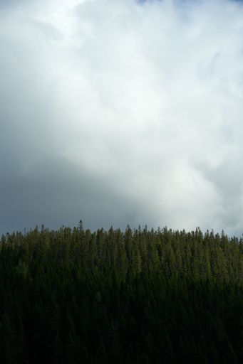 A vertical shot of the natural scenery near the Totenaasen Hills in Oppland, Norway
