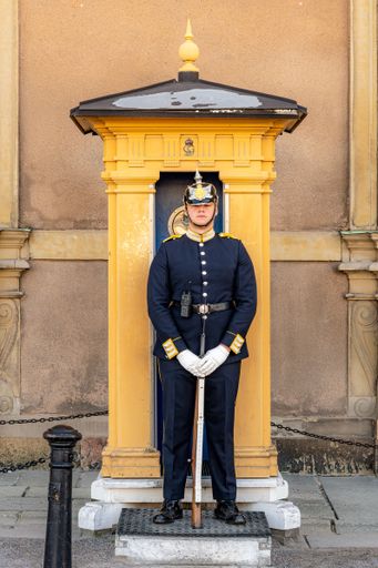 A vertical shot of the royal guard standing near the Royal Palace in Stockholm, Sweden