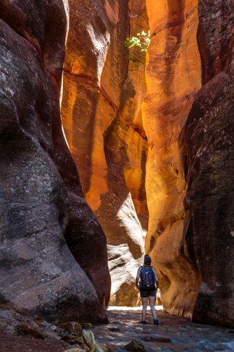 A vertical shot of the rocks in the Slot Canyon in Kanerraville Utah