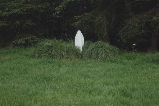 A person fully covered in a white cloth like a ghost standing in a green valley against leafy trees