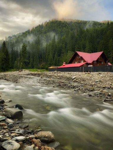 A vertical shot of a long exposure river with forest in the background on a foggy day
