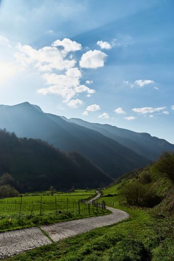A narrow path through green valley in the mountains