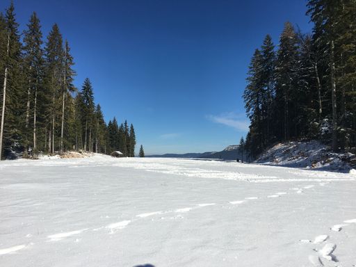 A field covered in snow surrounded by spruces