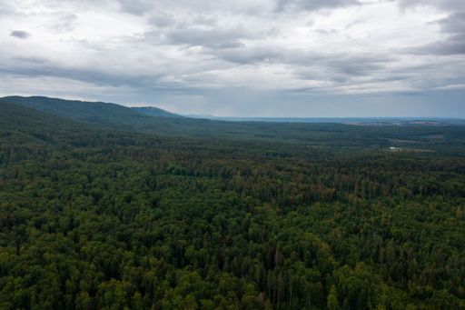 Stunning view of layered mountain ranges covered with dense pine forest and green valley under blue cloudy sky