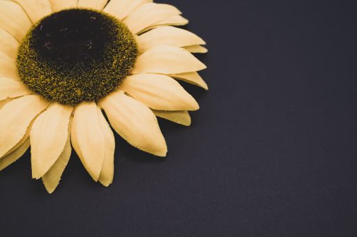A closeup high angle shot of a sunflower on a black surface