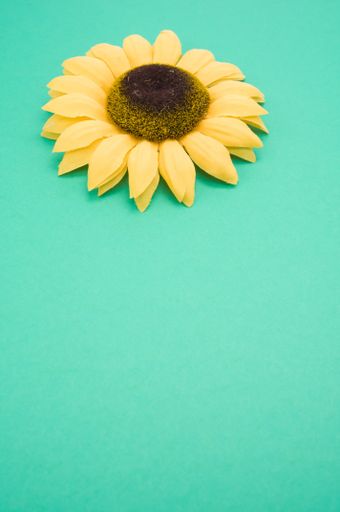 A vertical closeup high angle shot of a sunflower on a green surface