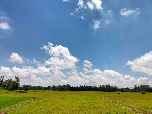 A beautiful bright landscape of a green field
