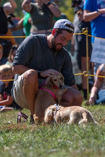 A closeup view of beautiful Dachshunds on a racing field with its owner