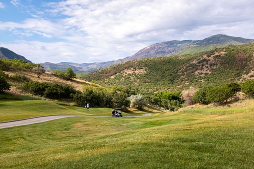 The natural landscape with the people and golf cart driving on the road
