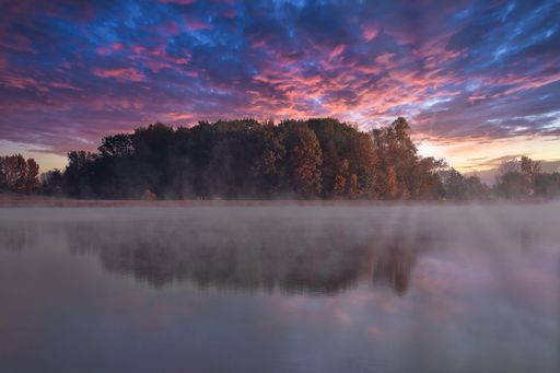 An aerial view of lake surrounded by dense trees during sunset