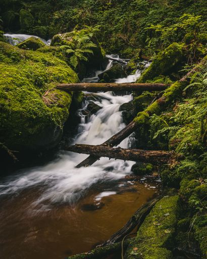 A vertical shot of St. Wolfgang waterfall flowing down the rocks covered with green moss in a forest