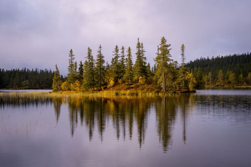 A lake in The Svartdalstjerna Forest Reserve of the Totenaasen Hills, Norway, in autumn