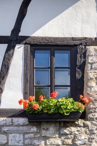 A vertical shot of a window with flowers on a stone building
