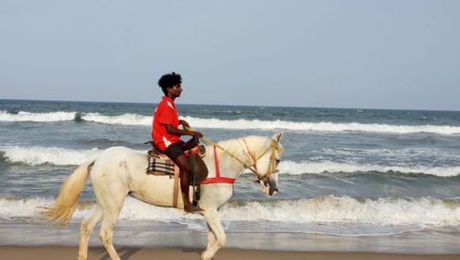 A man riding a white horse Ride on a beautiful beach.