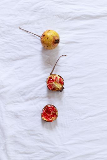 Vertical flat lay of pomegranate fruit in a row on a white background to show theme and concept of autumn