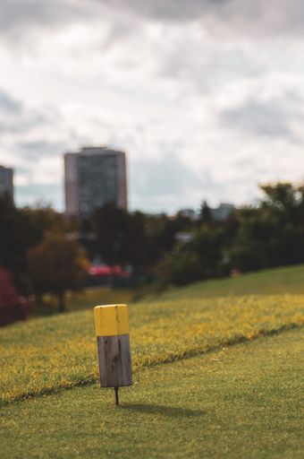 A vertical shallow focus shot of short wooden pole-like object in the golf course