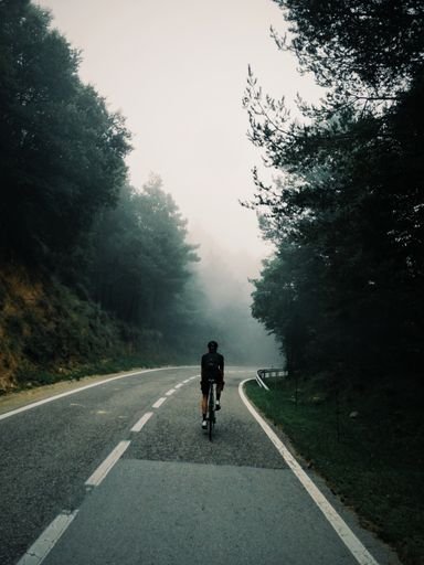A vertical shot of a person riding a bicycle through the woods covered in the fog