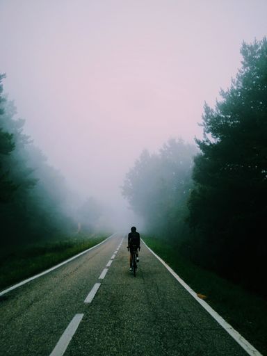 A vertical shot of a person riding a bicycle through the woods covered in the fog