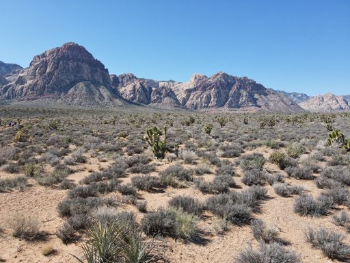 A scenic view of green shrubs against mountains in a desert in Red Rock Canyon, Nevada