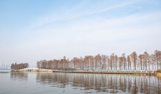 A panoramic view of the water with a trail and a white bridge surrounded by high trees under the blue sky