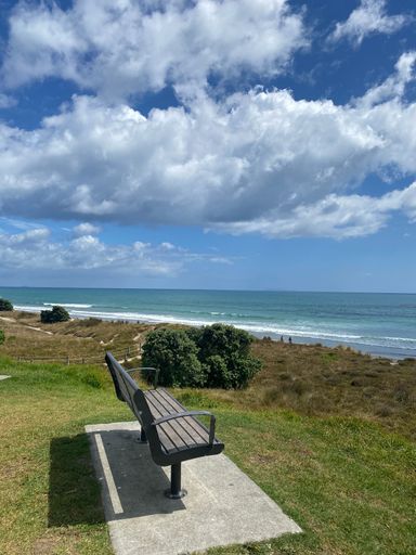 A vertical shot of an empty bench on the green lawn against the background of the sea and blue sky.