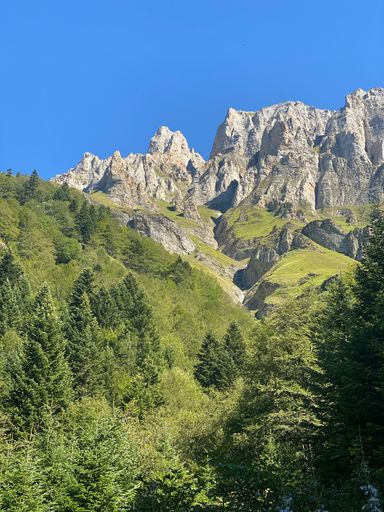 A vertical shot of cliffs surrounded by green vegetation against the background of blue sky.