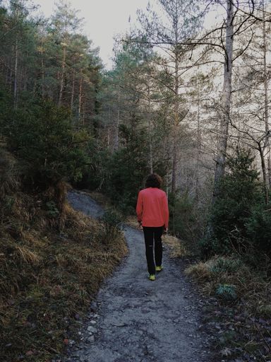 A vertical shot of a person walking through a narrow pathway on a hill covered in trees