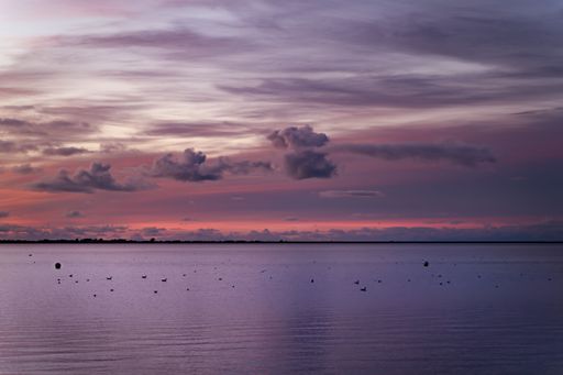 A mesmerizing view of a beautiful seascape with the seagulls at scenic sunset