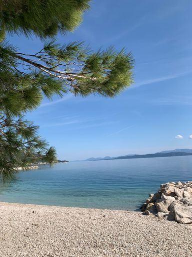 A vertical shot of a pebbled beach