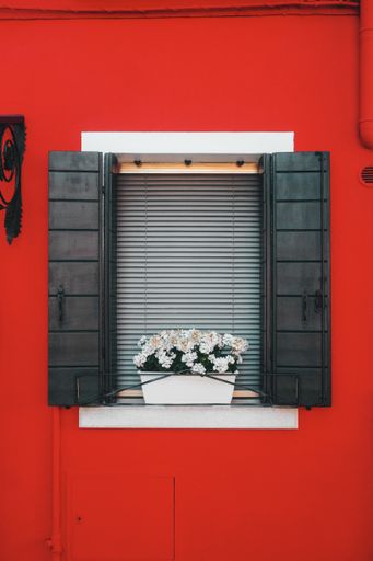 A vertical shot of beautiful potted flowers on a windowsill on a bright red wall