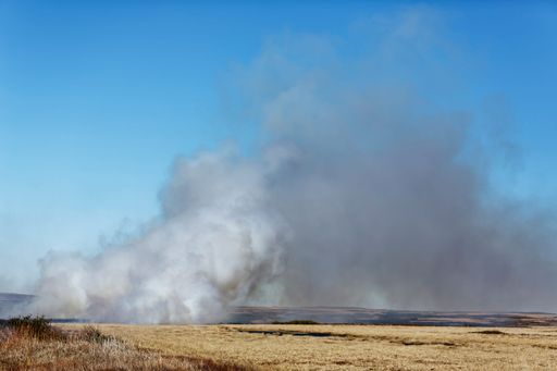 A grass fire, fueled by dry conditions, producing flames, smoke and showing turbulent structures and fluxes associated the intense fire.