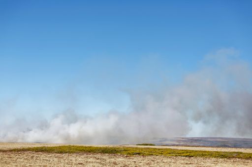 A grass fire, fueled by dry conditions, producing flames, smoke and showing turbulent structures and fluxes associated the intense fire.
