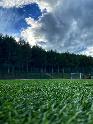 A vertical shot of a football field under a cloudy sky