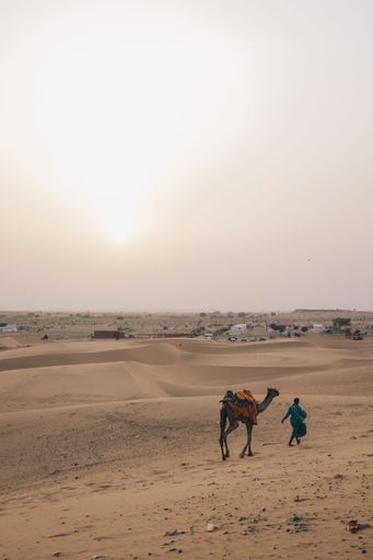 A vertical shot of a person walking with a camel in sand dunes