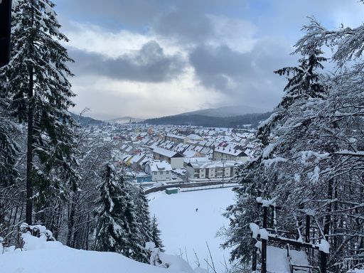 A beautiful shot through spruces of a townscape in the wintertime