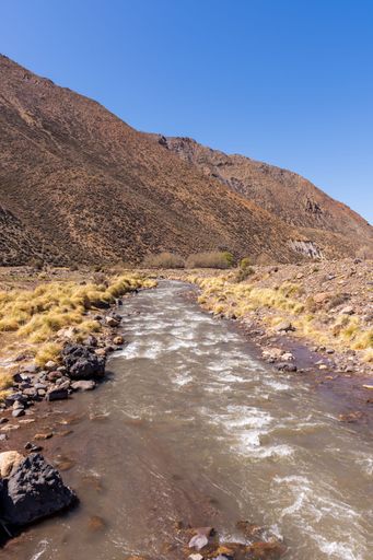 A vertical shot of a field with a stream against the mountains background in Mendoza, Argentina