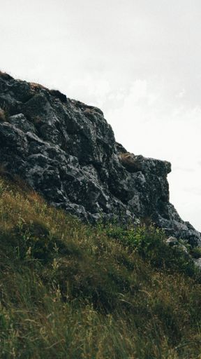A vertical shot of a cliff covered in moss with foggy background