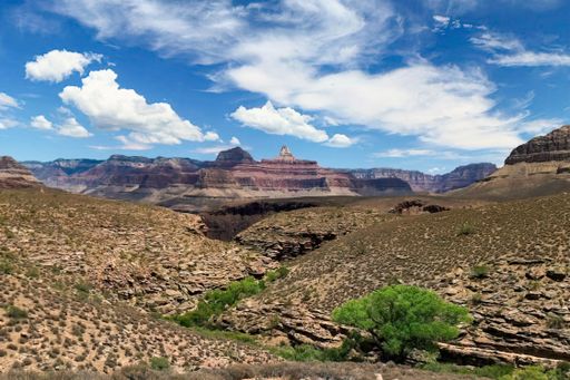 The Grand Canyon, a steep-sided canyon carved by the Colorado River in Arizona, United States