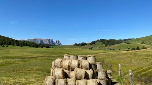 A panoramic view of the hays in the rural place