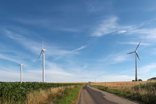 A field covered in greenery surrounded by windmills under the sunlight and a blue sky