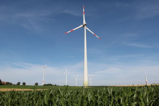 A field covered in greenery surrounded by windmills under the sunlight and a blue sky