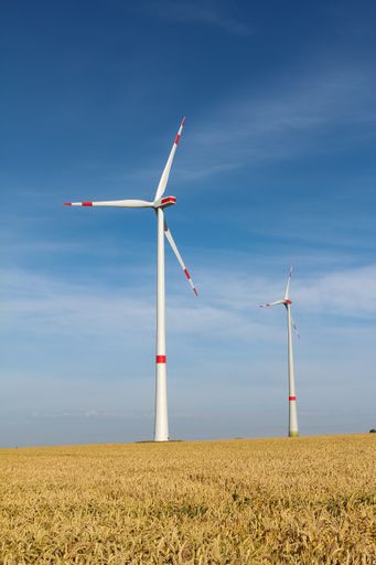 A vertical shot of windmills in the field at daytime