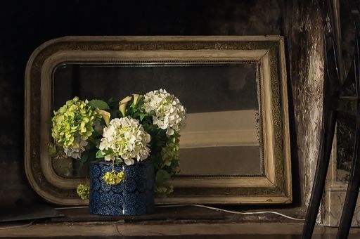 A closeup shot of beautiful hortensia flowers in front of an old mirror