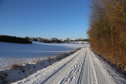 A road surrounded by trees covered in the snow under the sunlight and a blue sky